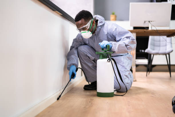 Best Bed Bug Extermination  in Ronkonkoma, NY